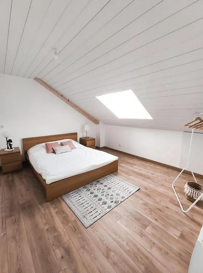 Le Chaplin-A Cote De Geneve-Calme-Fonctionnel-Wifi-Parking Apartment Neydens