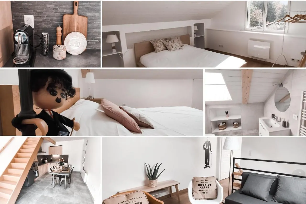 Le Chaplin-A Cote De Geneve-Calme-Fonctionnel-Wifi-Parking Apartment Neydens